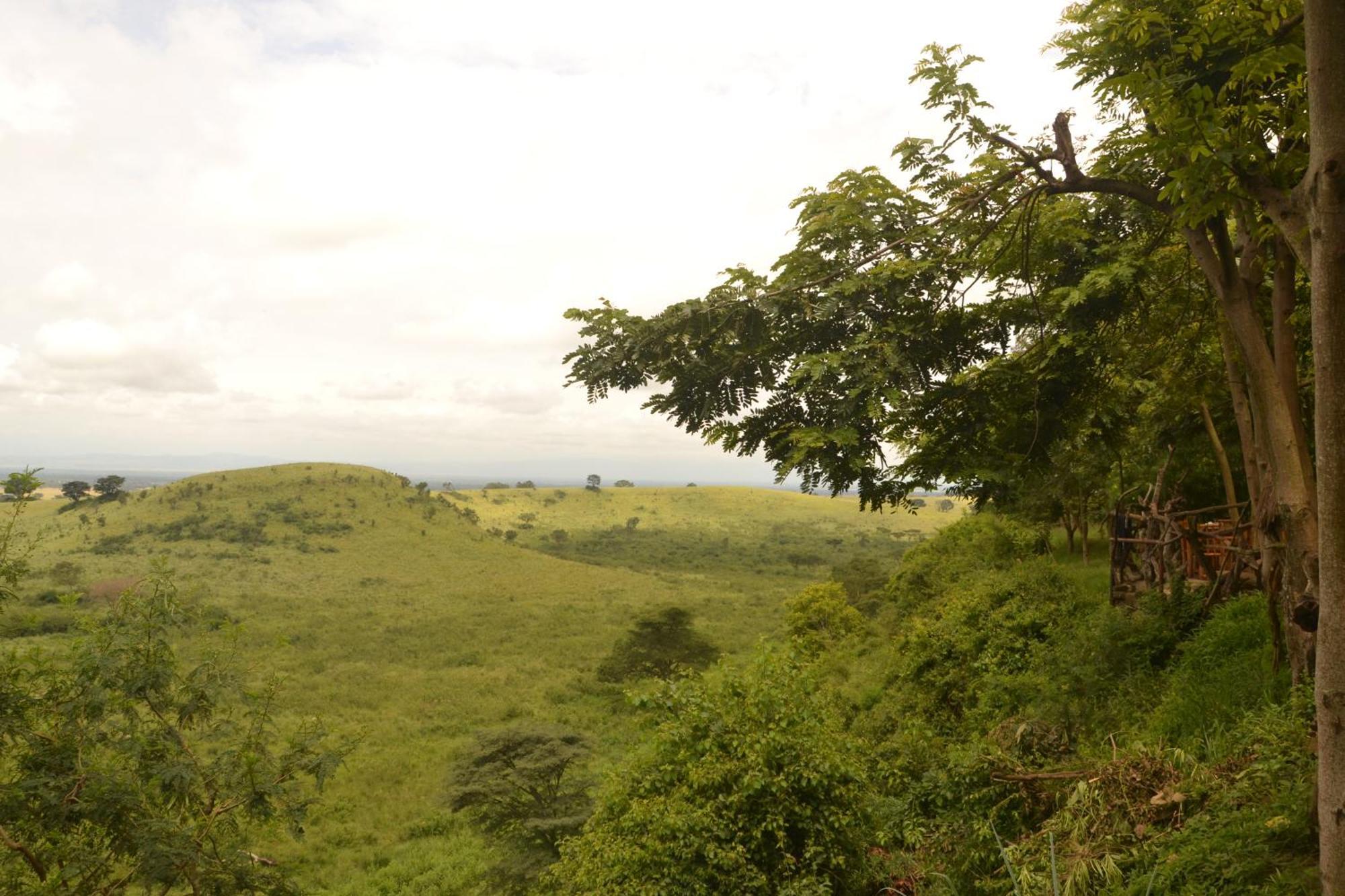 Pumba Safari * Busonga