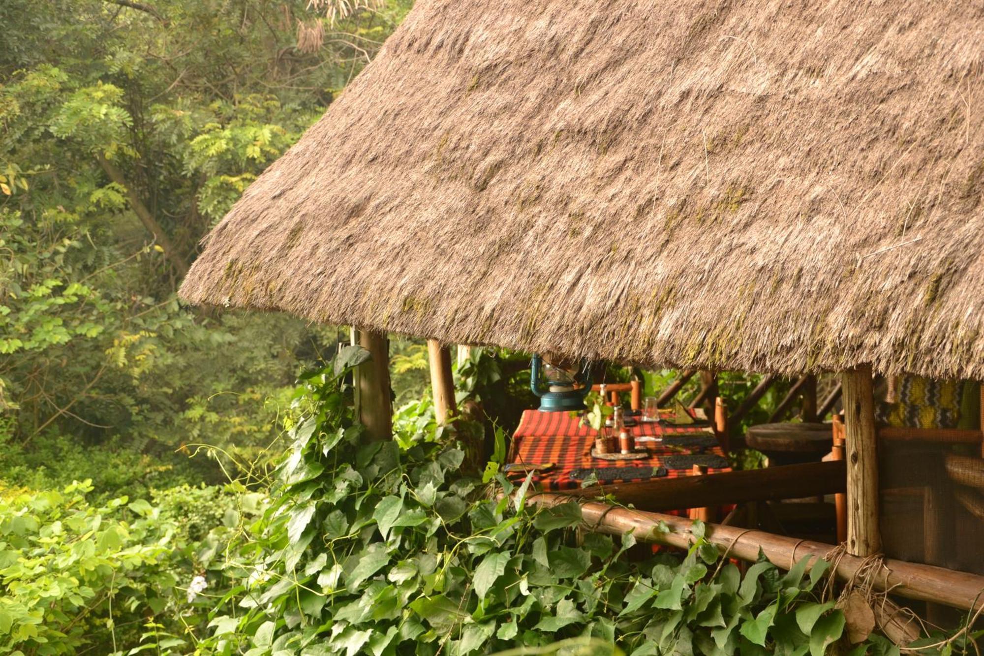 Pumba Safari Lodge Busonga