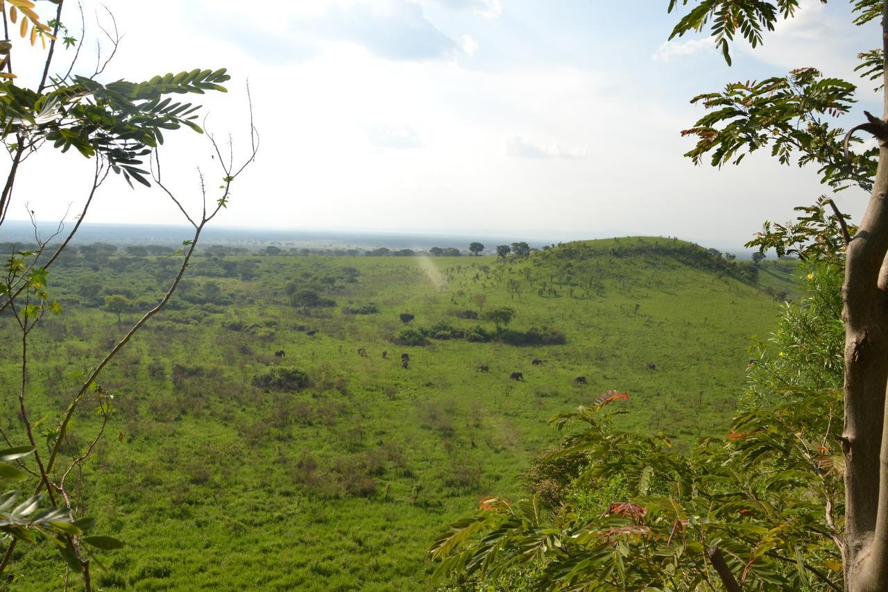 Pumba Safari Lodge